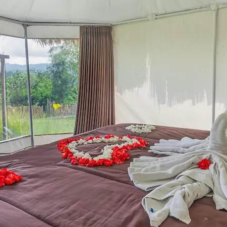 Polestay Glamping Kintamani